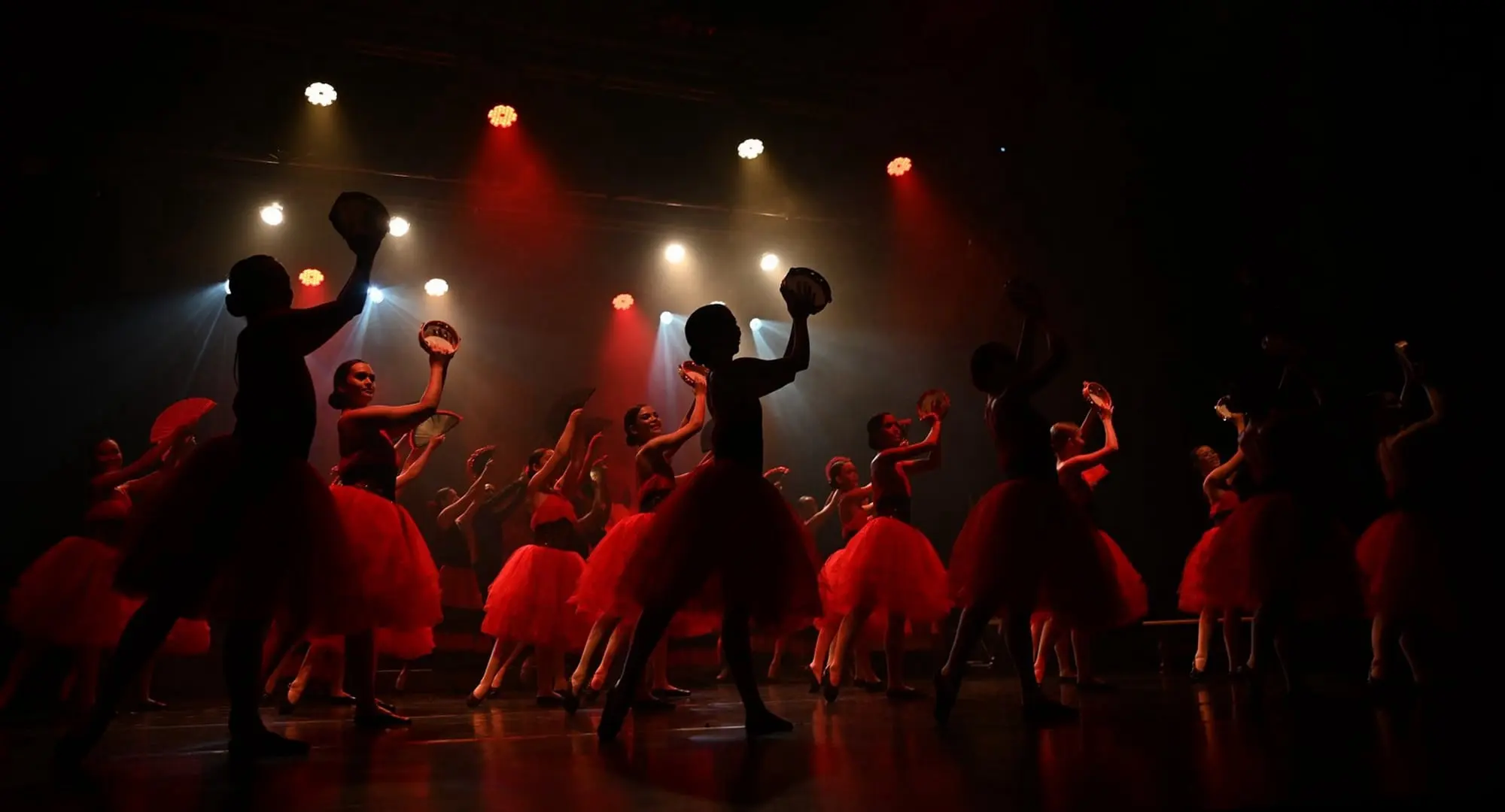DANSE